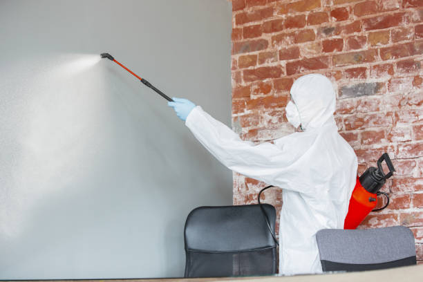 Best Water Damage & Mold Remediation  in Godley, TX