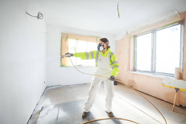Reliable Godley, TX Mold Removal Solutions